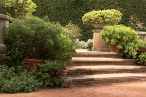 Landscape Designer